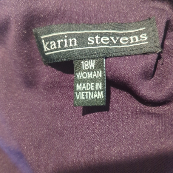 Karen Stevens Purple Formal Dress Slimming Sheer Overlay Size 18W-489 - Picture 7 of 9